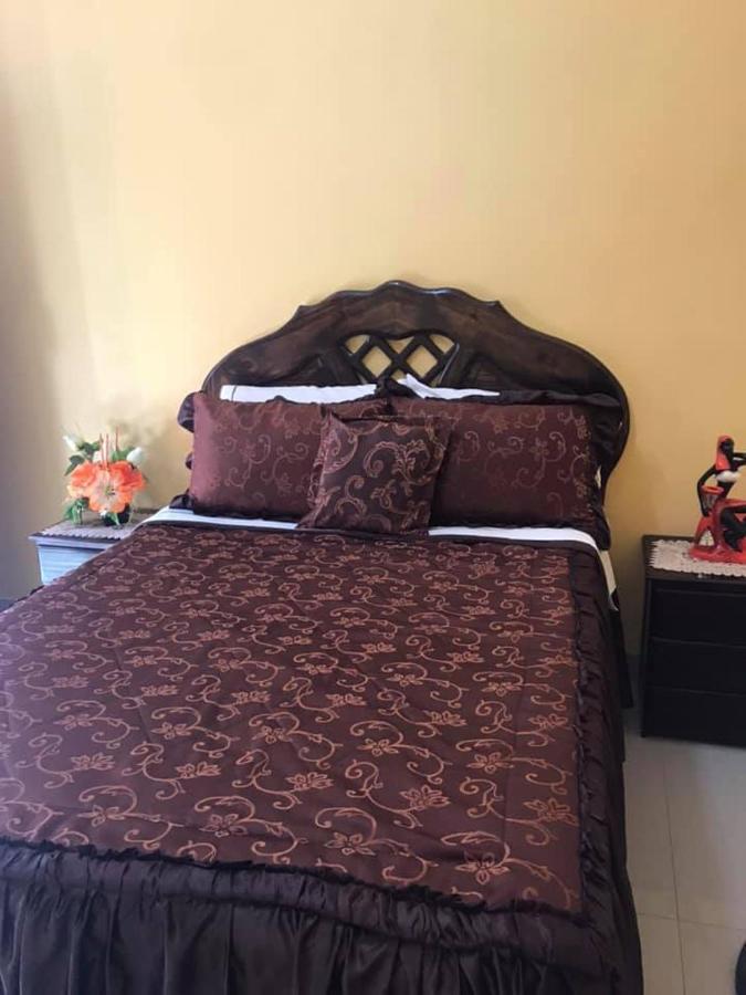 Hostal El Sueno De San Martin パラカス エクステリア 写真