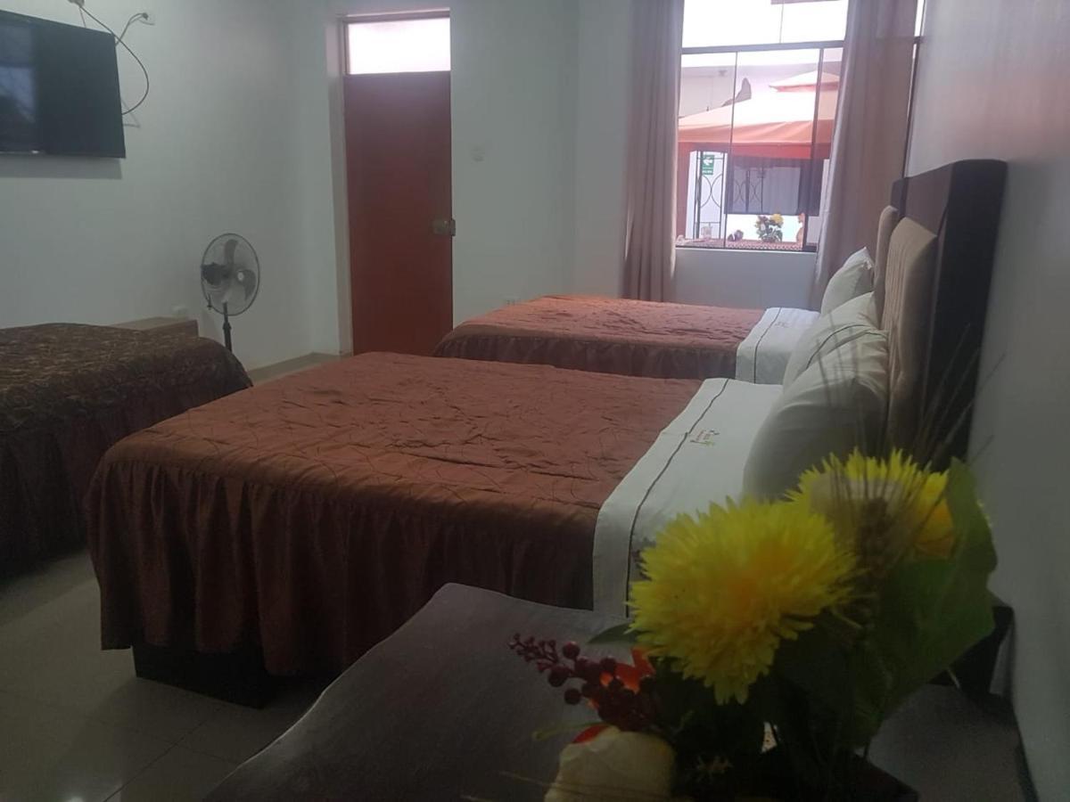 Hostal El Sueno De San Martin パラカス エクステリア 写真