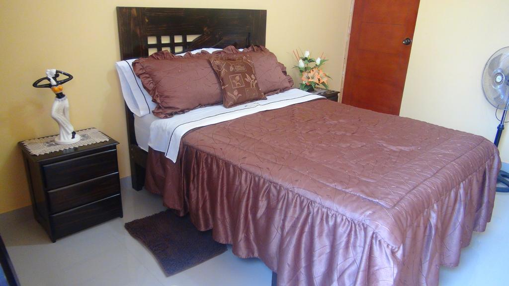 Hostal El Sueno De San Martin パラカス エクステリア 写真