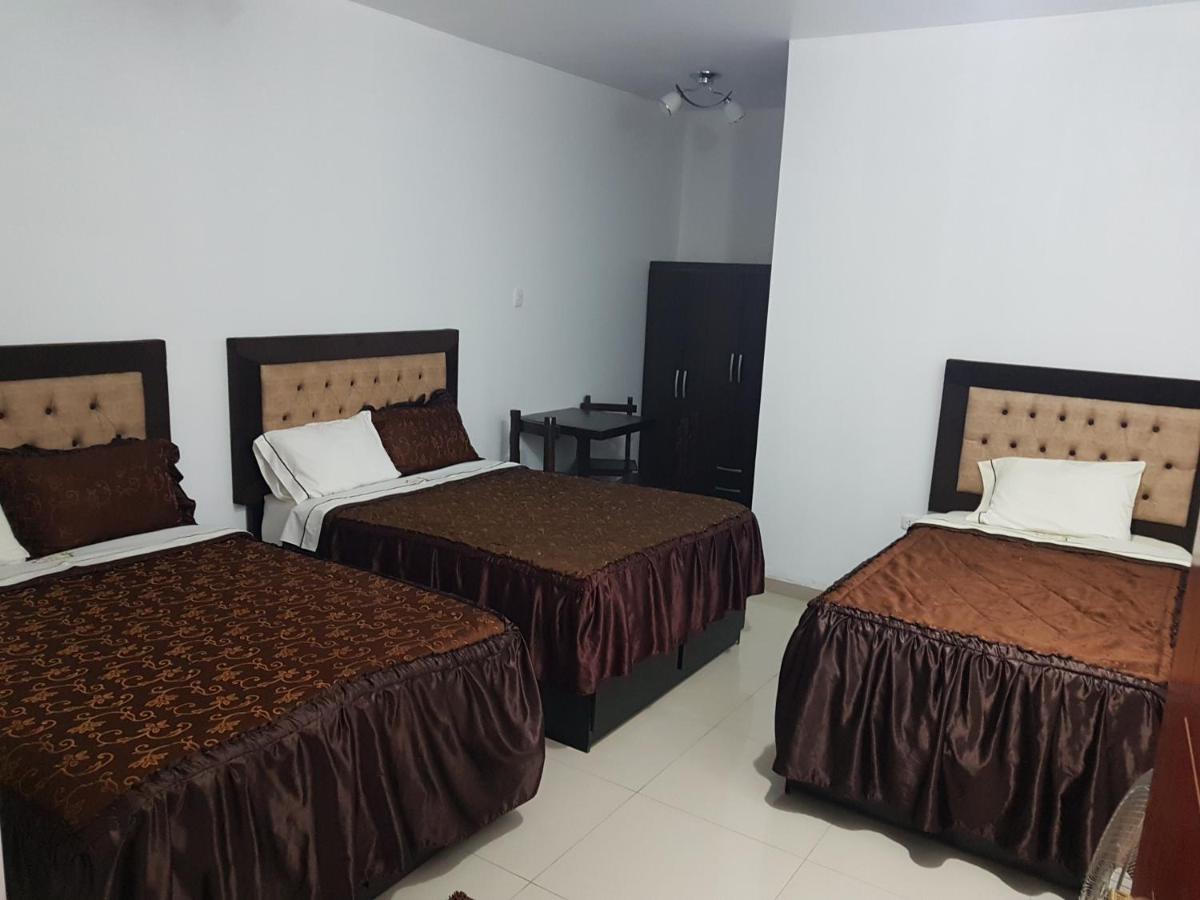 Hostal El Sueno De San Martin パラカス エクステリア 写真