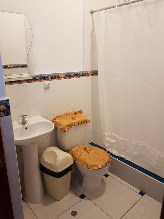 Hostal El Sueno De San Martin パラカス エクステリア 写真